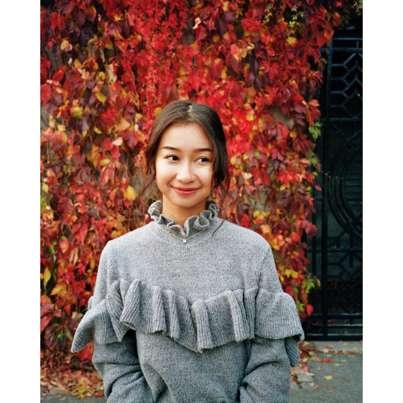 Nikon Zoom 600 AF
